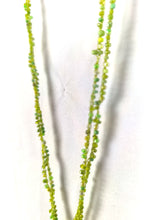 Lade das Bild in den Galerie-Viewer, CHAIN LINA FISH SOUL KATHRINE COLOR 1 GREEN SPRING SUMMER 2026
